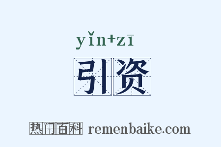 引资是什么意思的图片